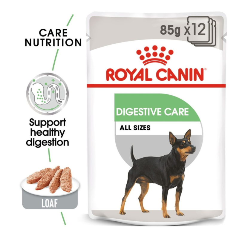 Royal Canin Digestive Care Wet Dog Food Pouches